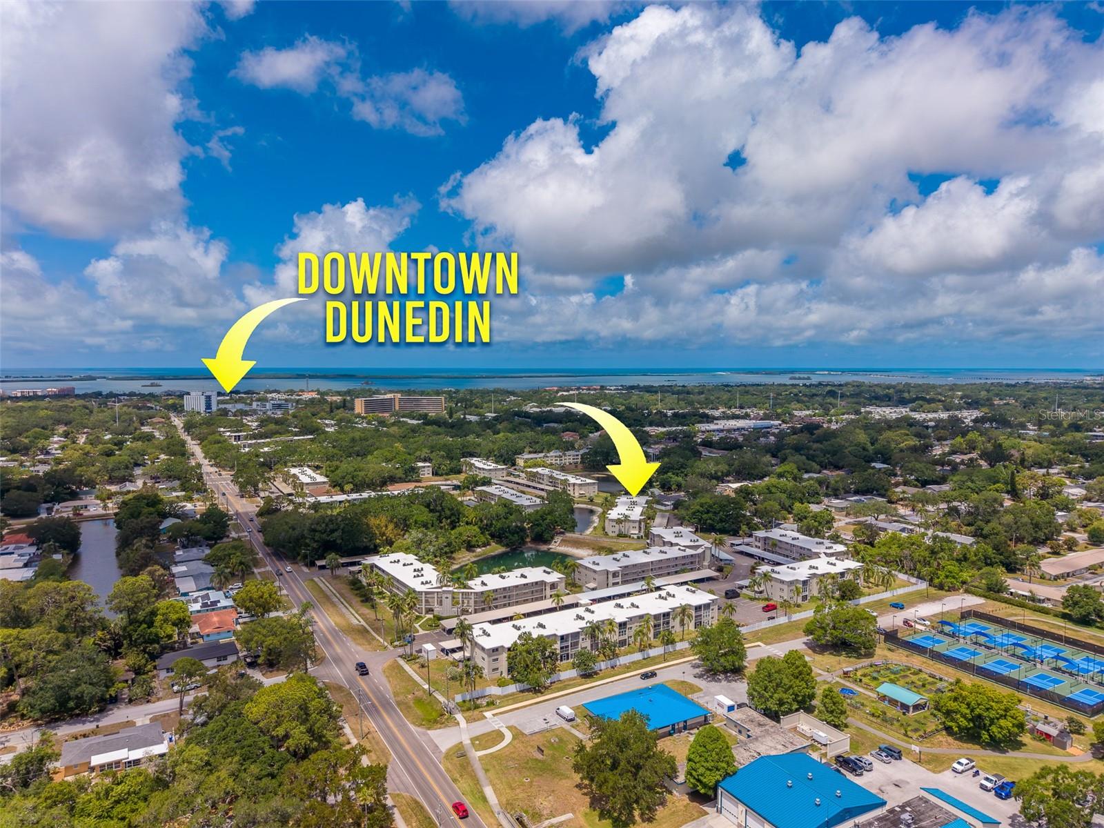 946 VIRGINIA ST #107, DUNEDIN, FL — photo 3