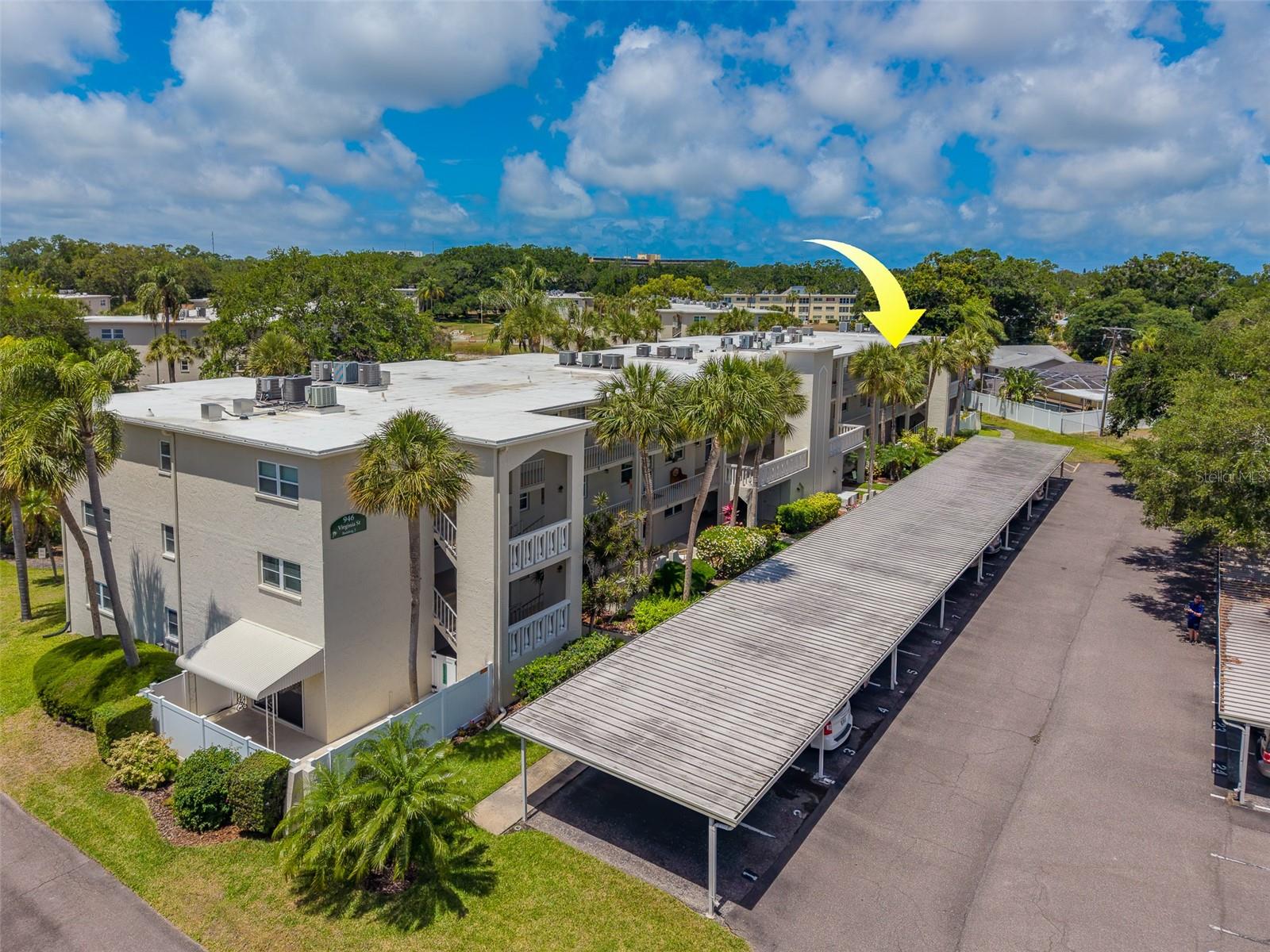 946 VIRGINIA ST #107, DUNEDIN, FL — photo 41