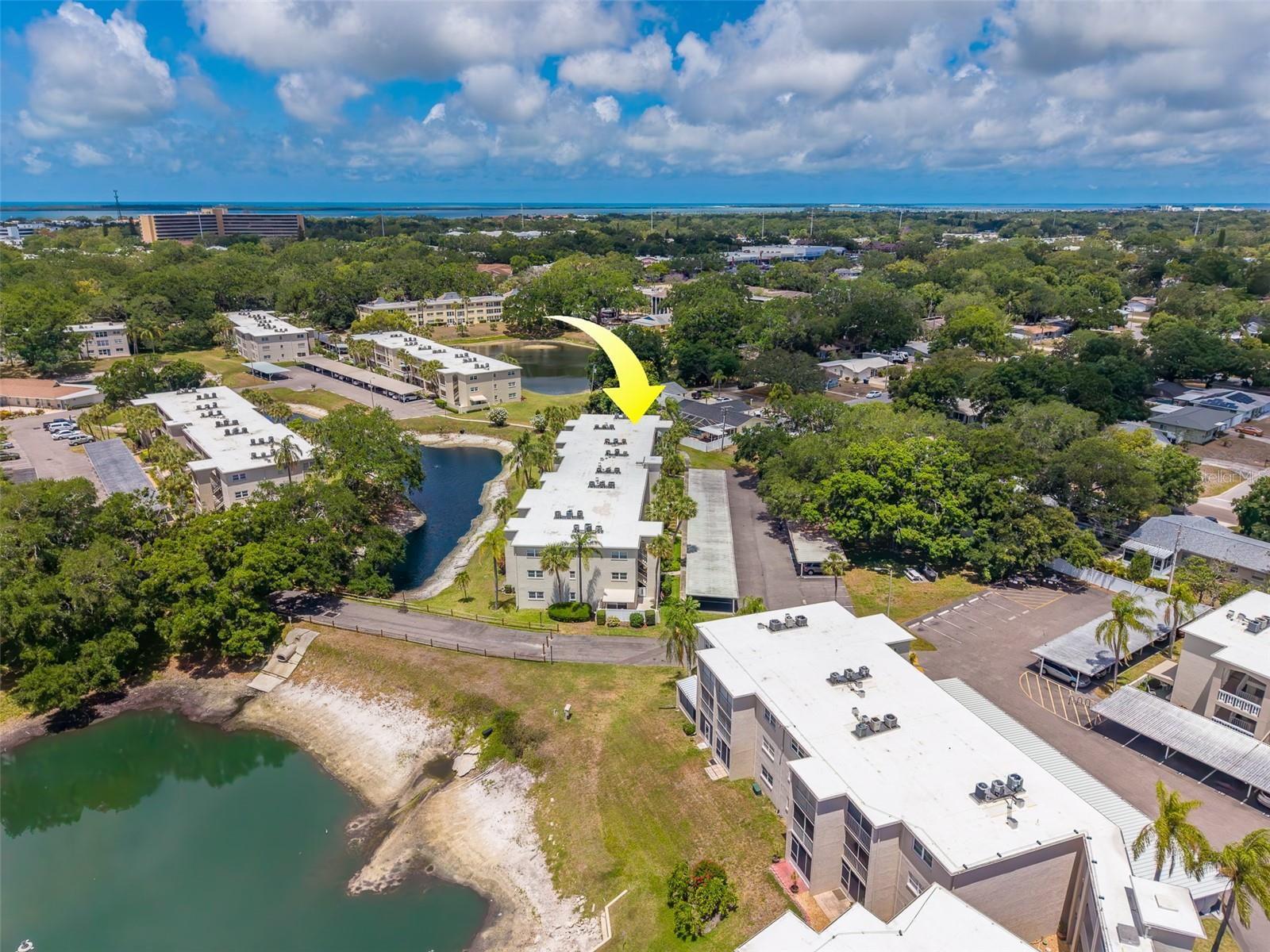 946 VIRGINIA ST #107, DUNEDIN, FL — photo 48