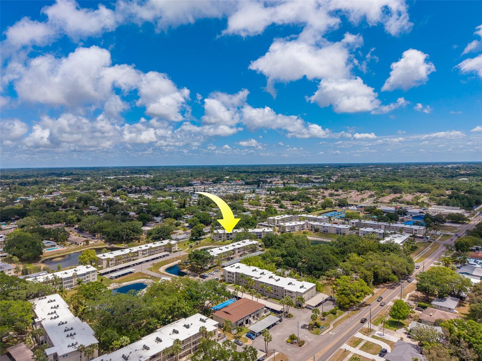 946 VIRGINIA ST #107, DUNEDIN, FL — photo 49