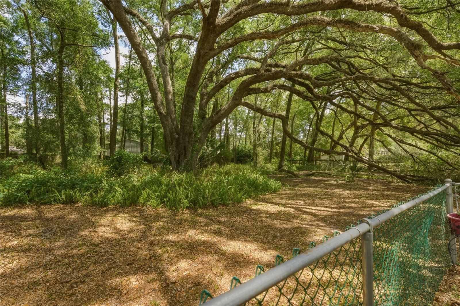 26 COUNT FLEET DR, OCALA, FL — photo 39