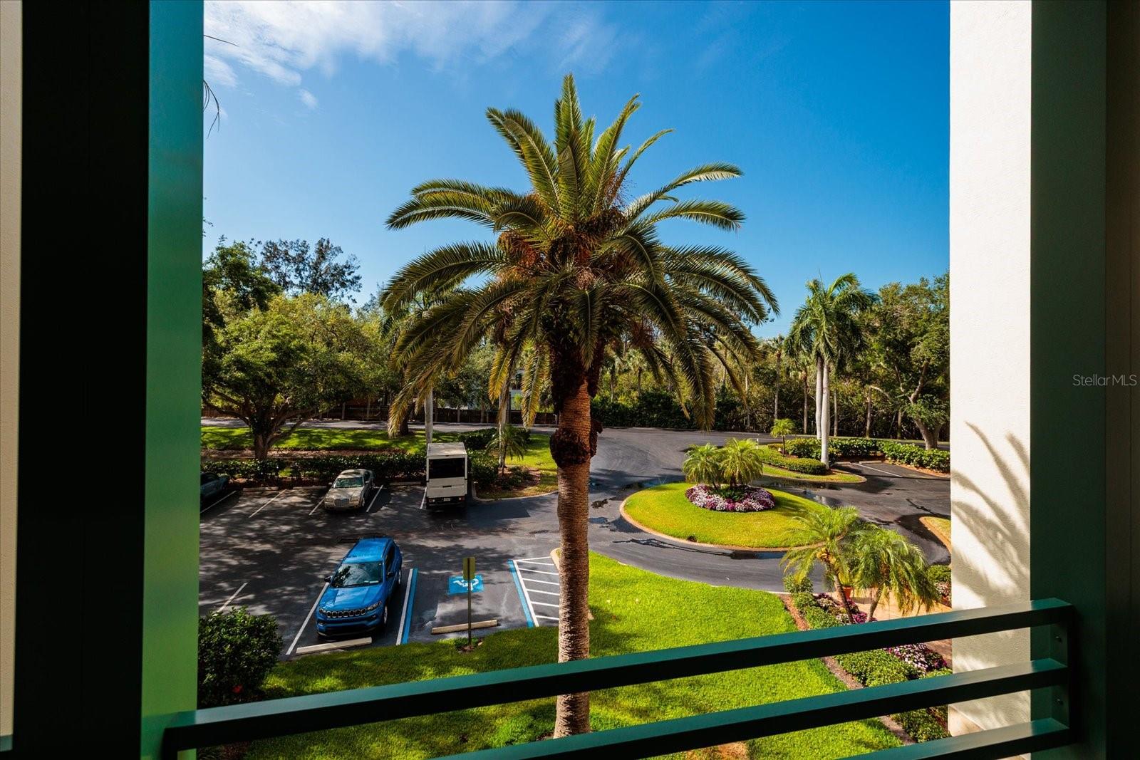 4801 OSPREY DR S #207, ST PETERSBURG, FL — photo 10