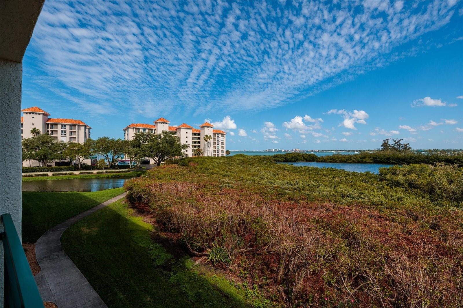 4801 OSPREY DR S #207, ST PETERSBURG, FL — photo 25