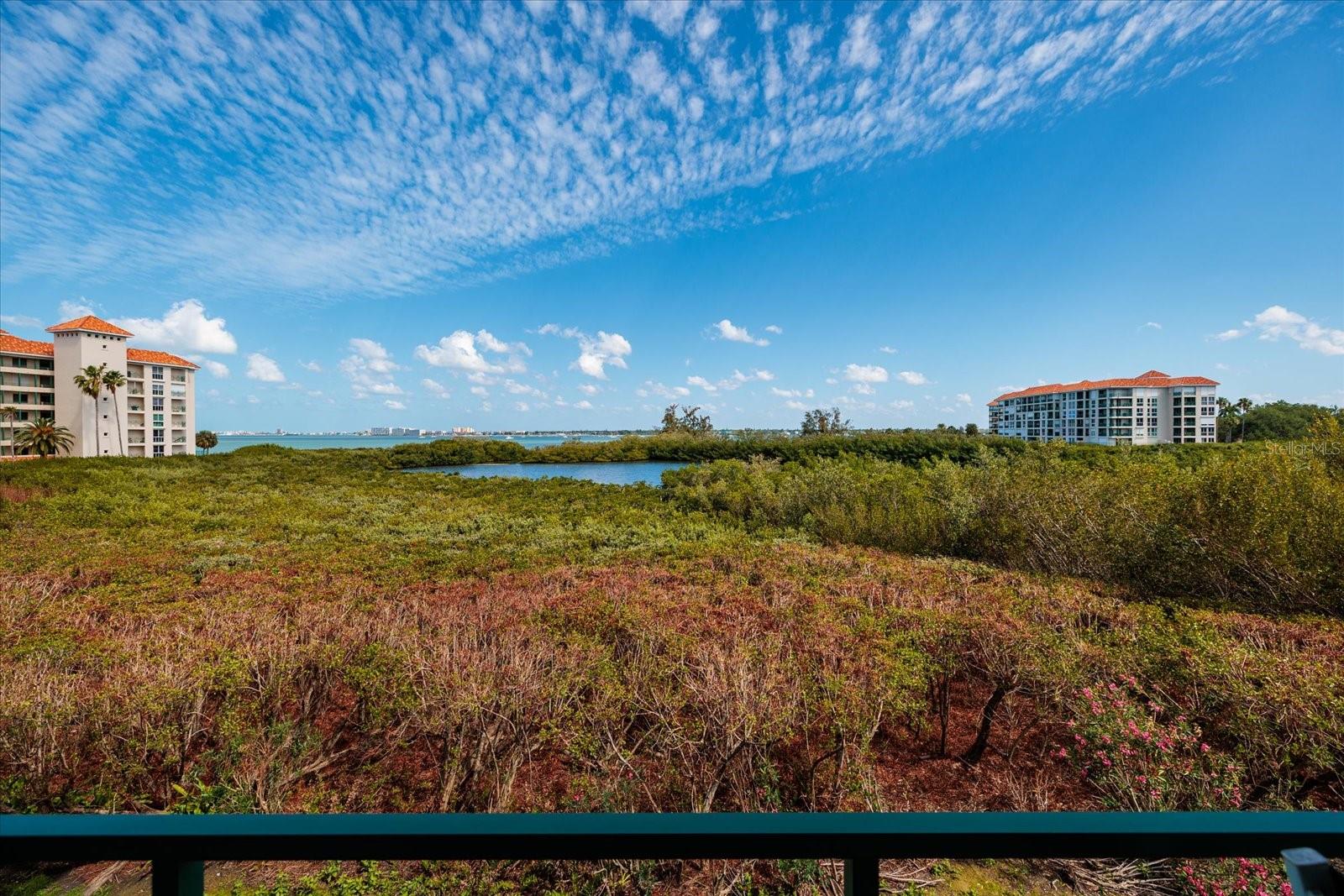 4801 OSPREY DR S #207, ST PETERSBURG, FL — photo 26