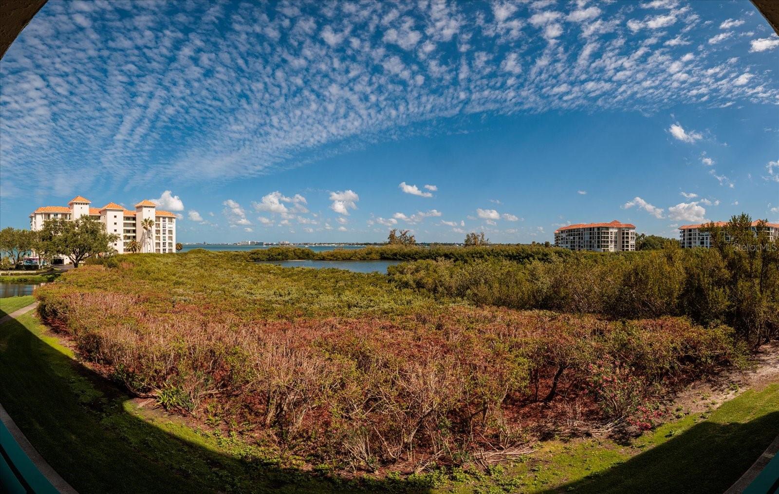 4801 OSPREY DR S #207, ST PETERSBURG, FL — photo 28
