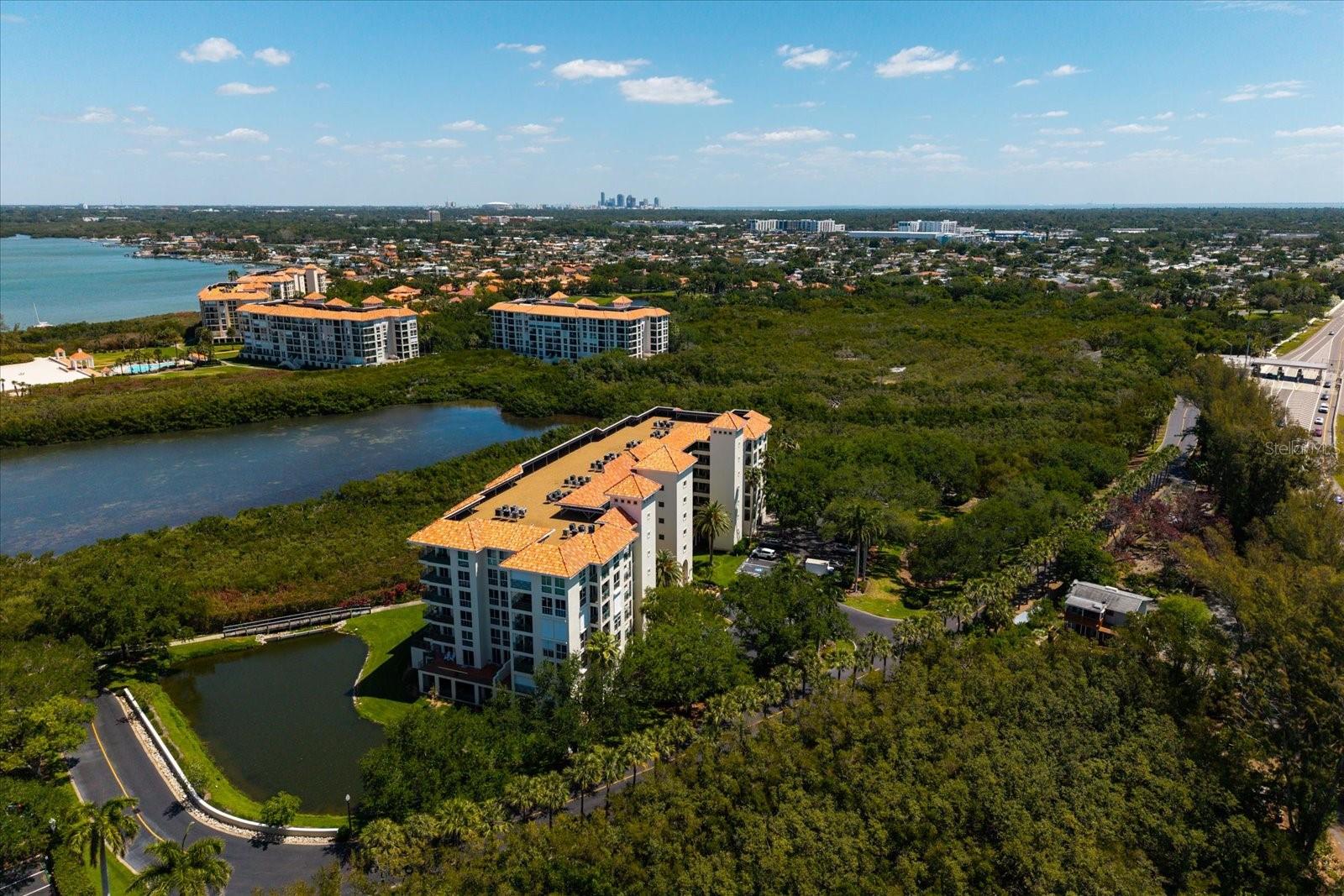 4801 OSPREY DR S #207, ST PETERSBURG, FL — photo 45