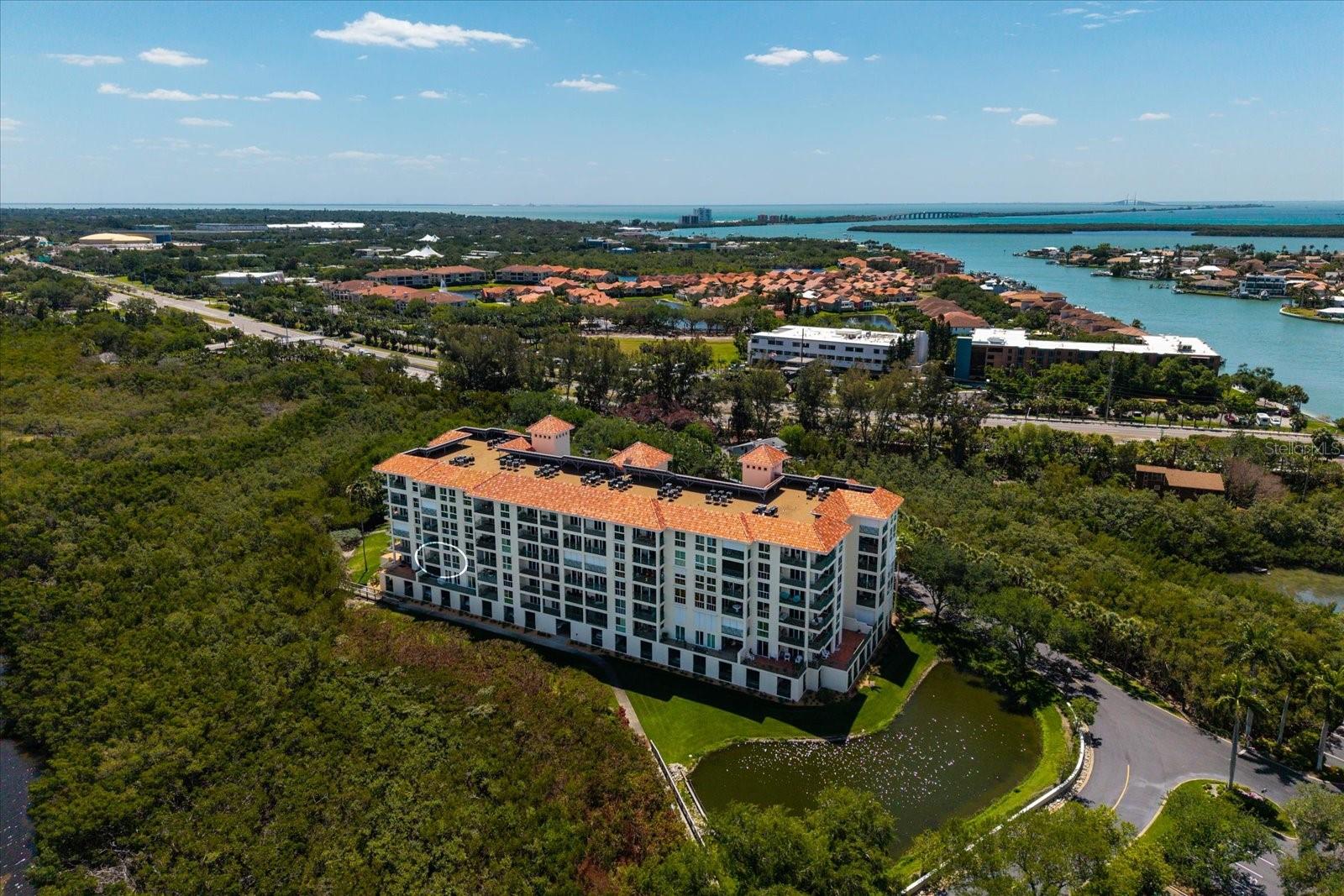 4801 OSPREY DR S #207, ST PETERSBURG, FL — photo 47