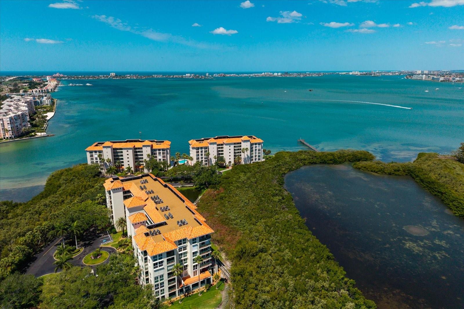 4801 OSPREY DR S #207, ST PETERSBURG, FL — photo 51