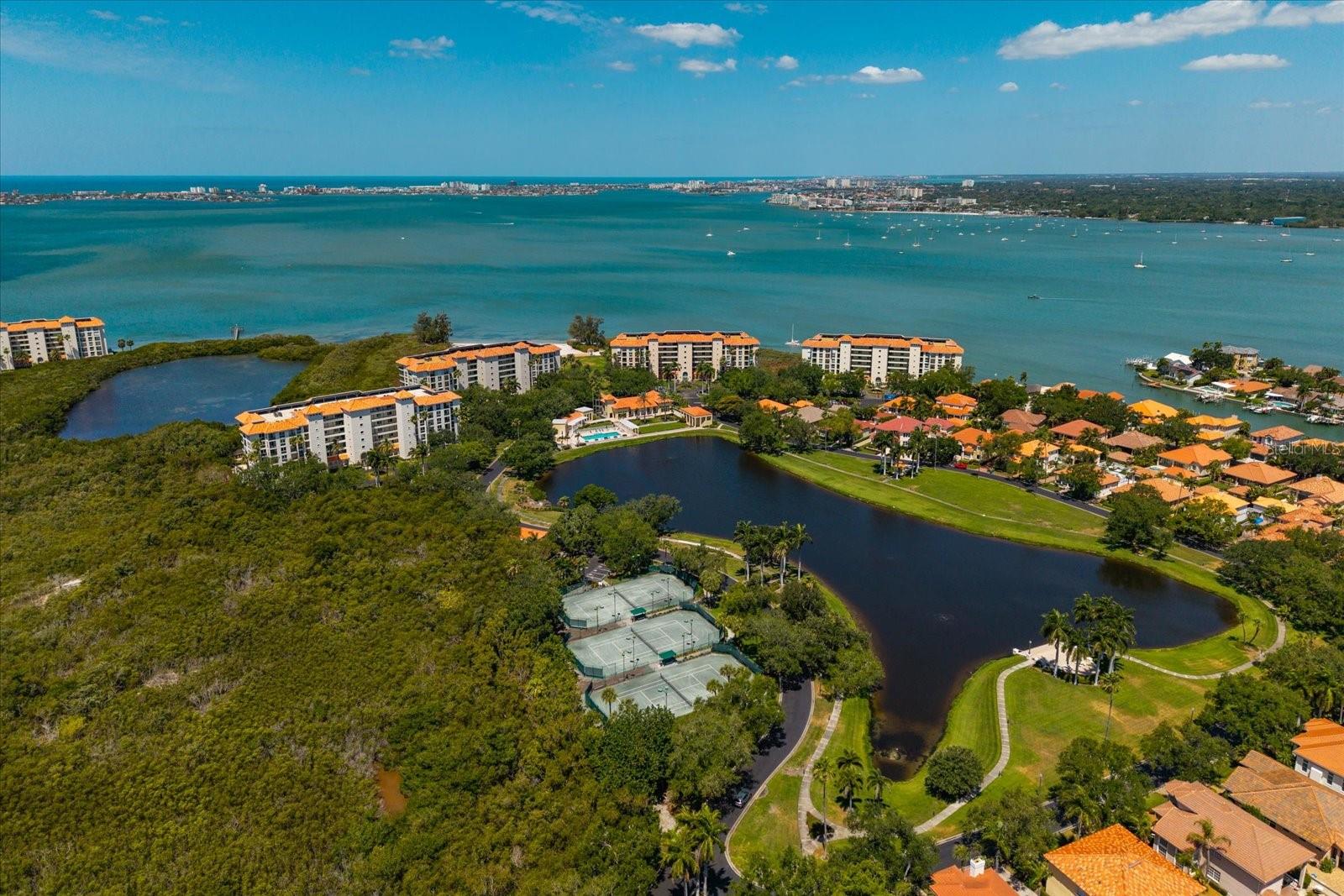 4801 OSPREY DR S #207, ST PETERSBURG, FL — photo 70