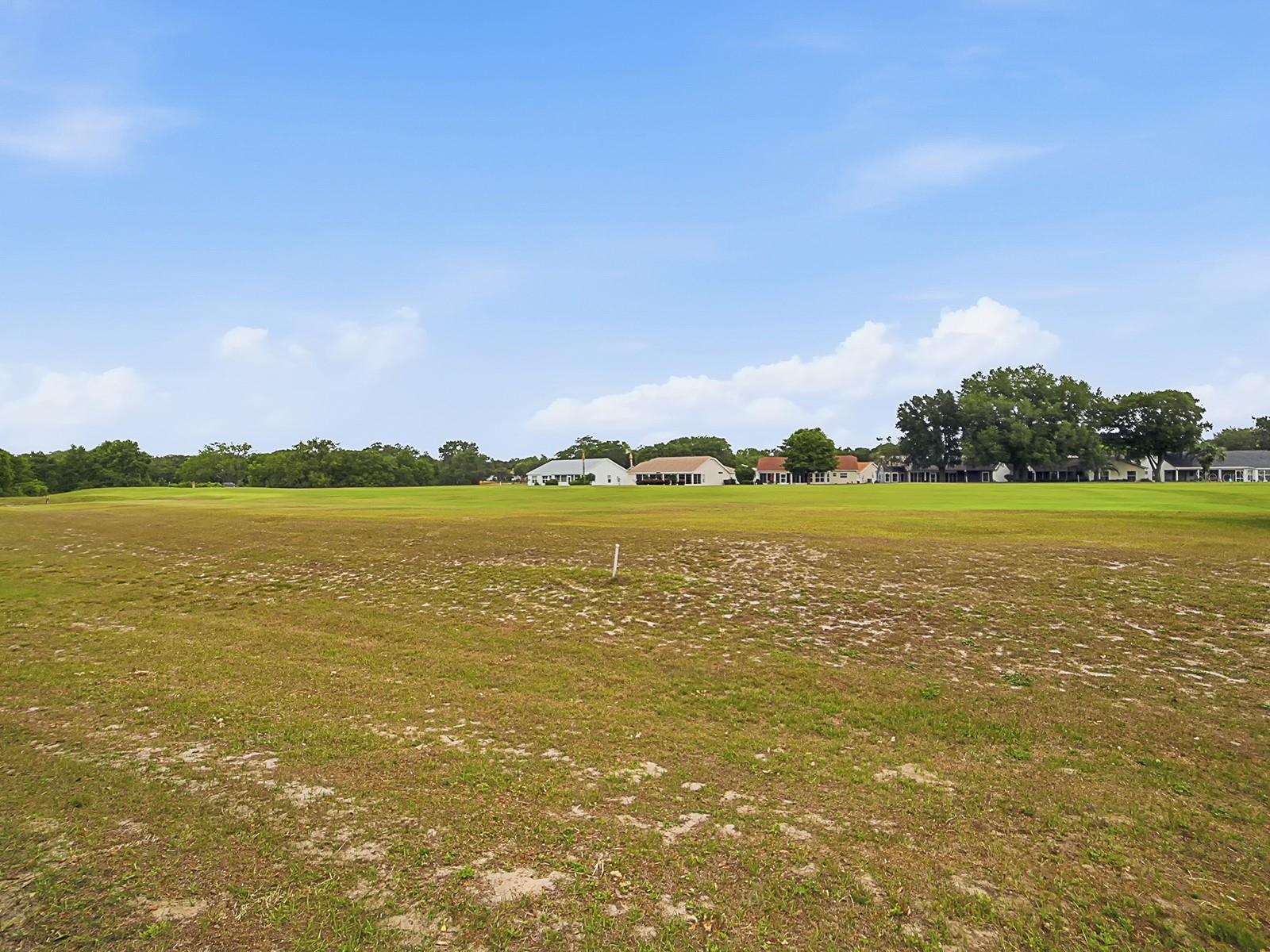 25069 RIVERWALK DR, LEESBURG, FL — photo 55