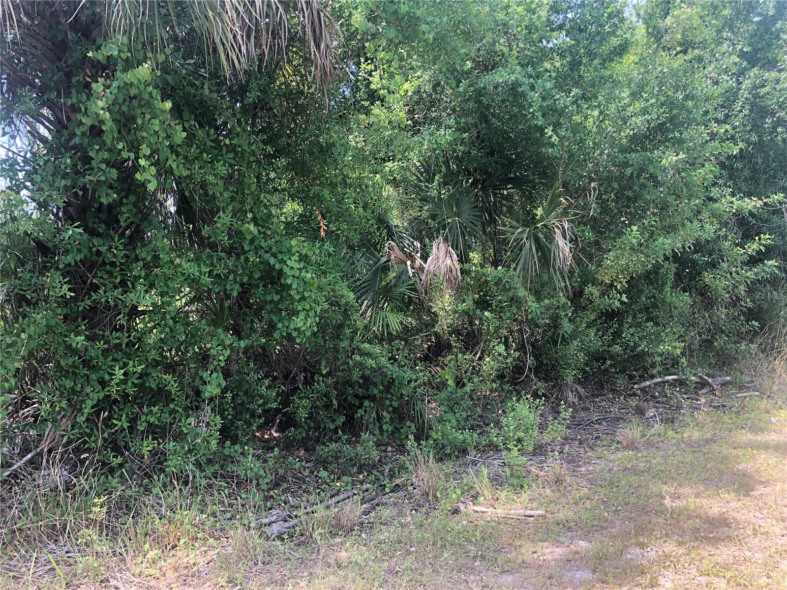 DANDURAND AVE, NORTH PORT, FL — photo 3