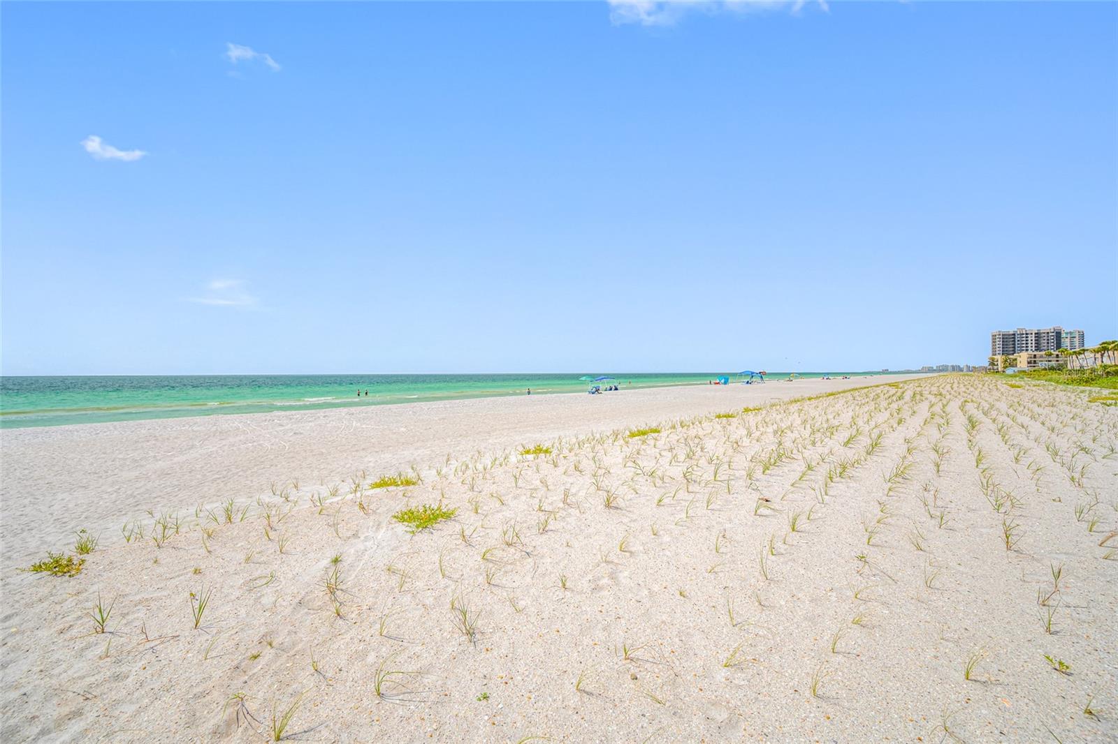 3100 GULF BLVD #132, BELLEAIR BEACH, FL — photo 9