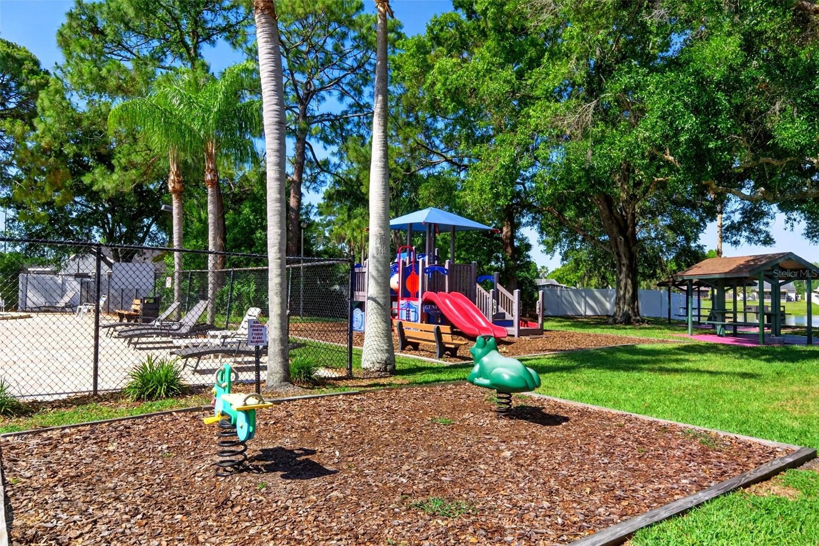 549 LONGWOOD CIR, OLDSMAR, FL — photo 73