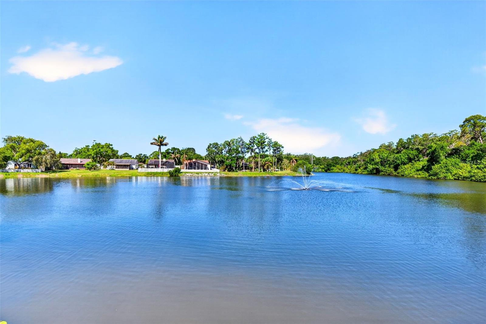 549 LONGWOOD CIR, OLDSMAR, FL — photo 78