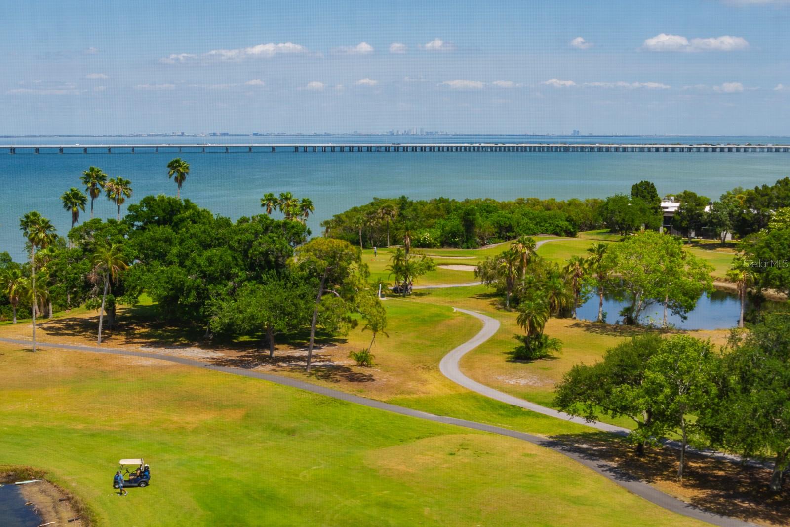2620 COVE CAY DR #904, CLEARWATER, FL — photo 4