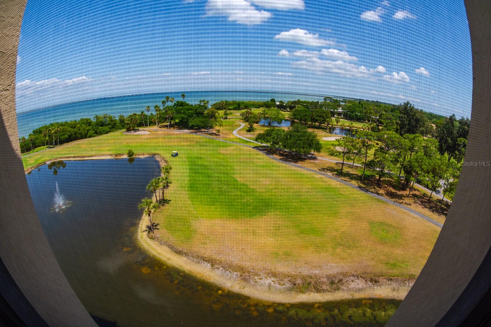 2620 COVE CAY DR #904, CLEARWATER, FL — photo 32