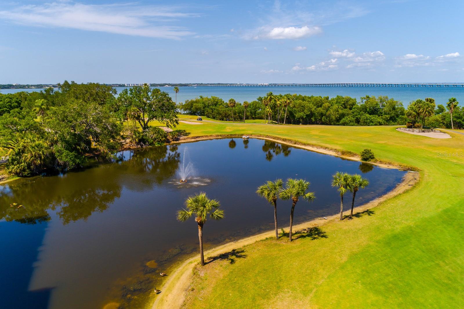 2620 COVE CAY DR #904, CLEARWATER, FL — photo 33