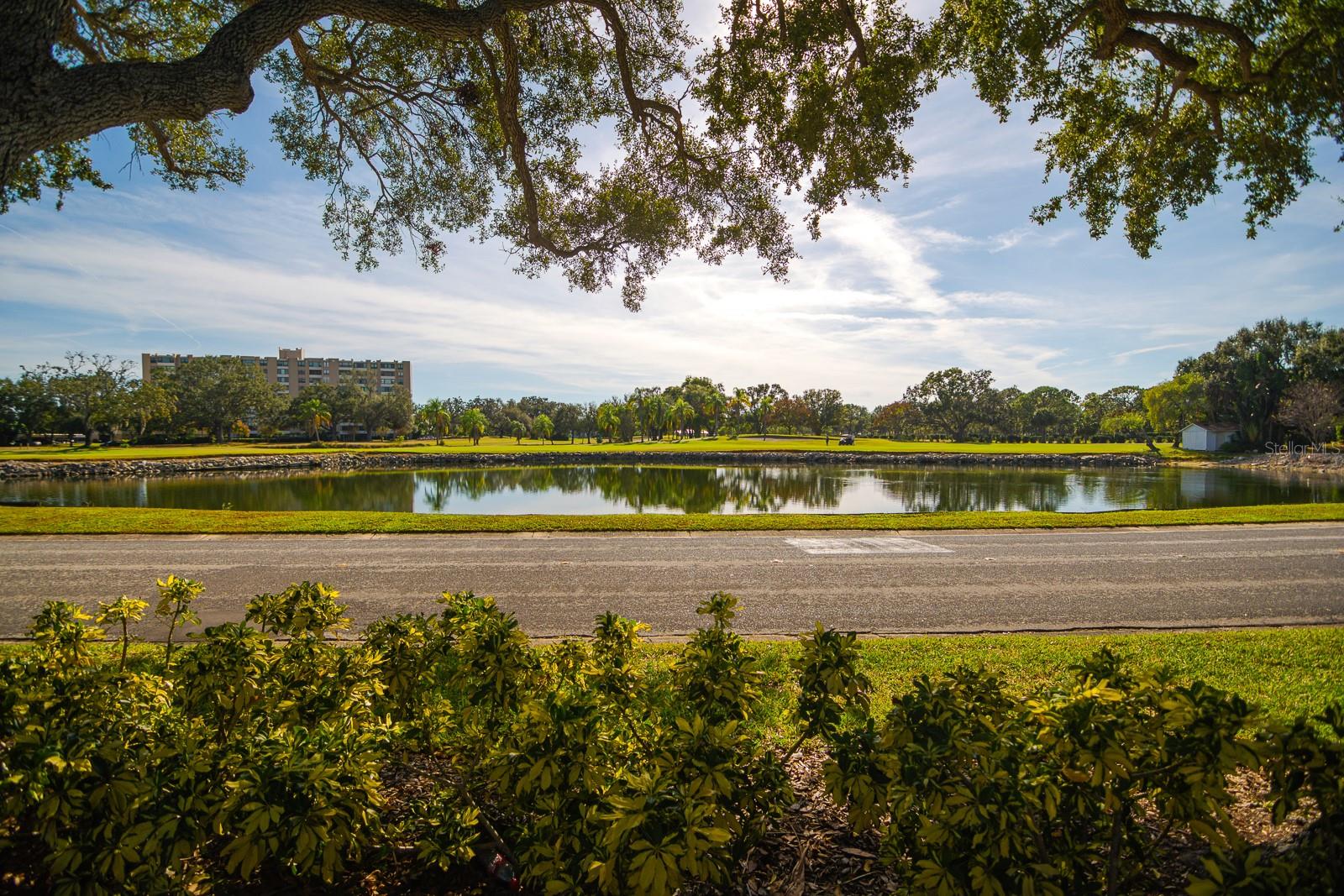 2620 COVE CAY DR #904, CLEARWATER, FL — photo 47