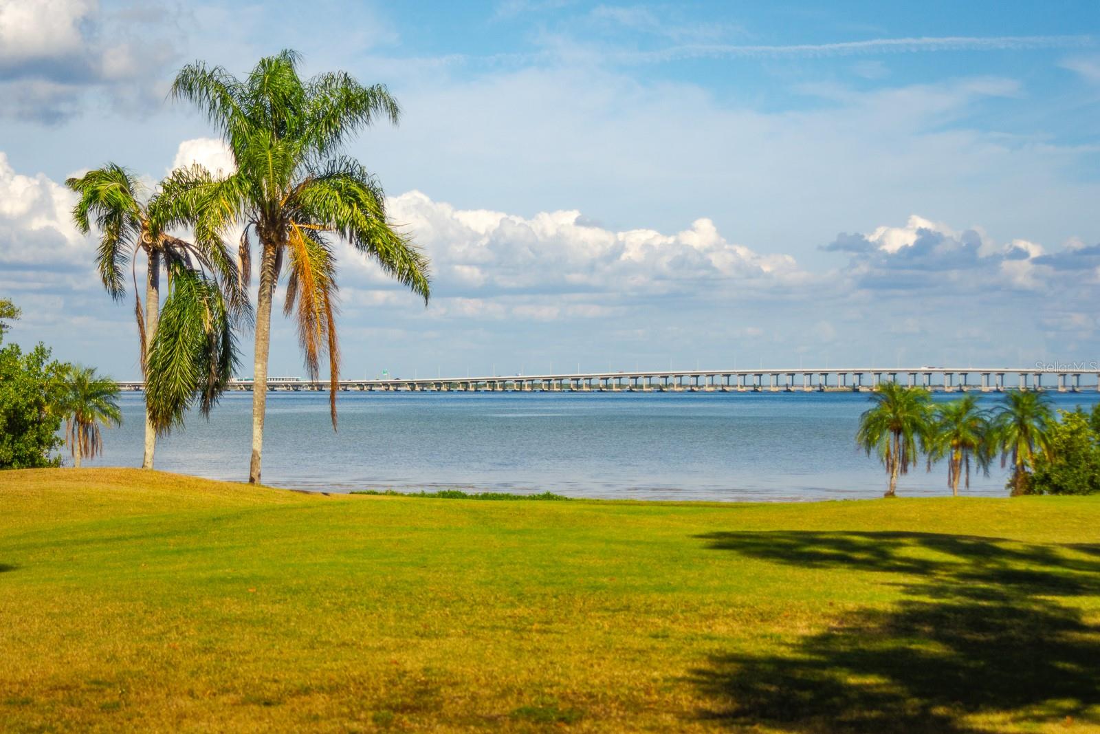 2620 COVE CAY DR #904, CLEARWATER, FL — photo 49
