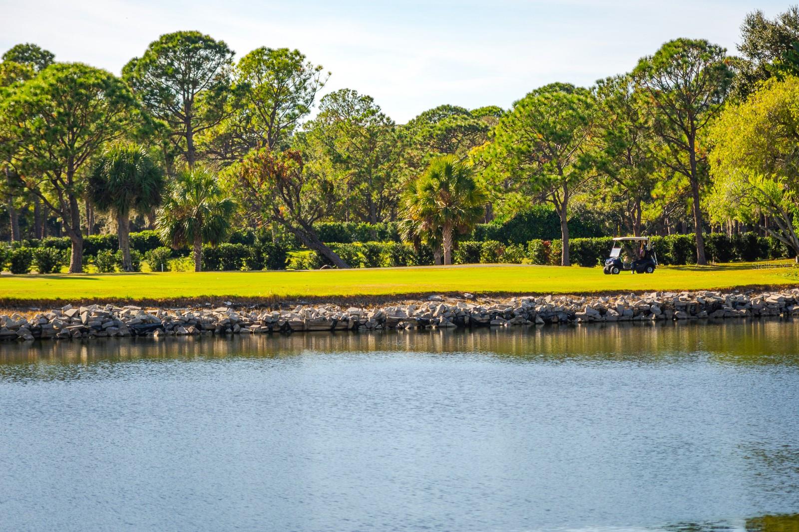 2620 COVE CAY DR #904, CLEARWATER, FL — photo 55