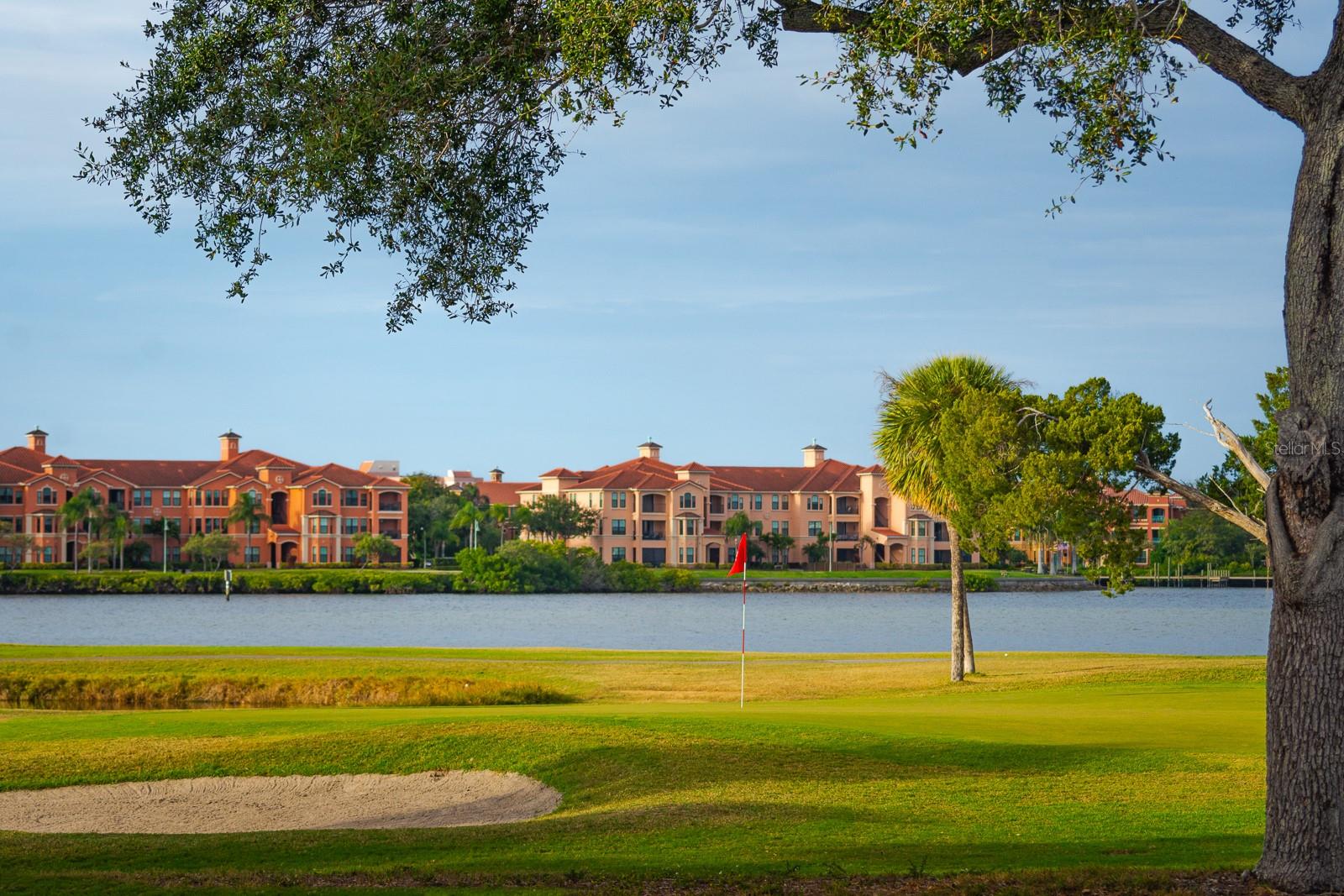 2620 COVE CAY DR #904, CLEARWATER, FL — photo 68