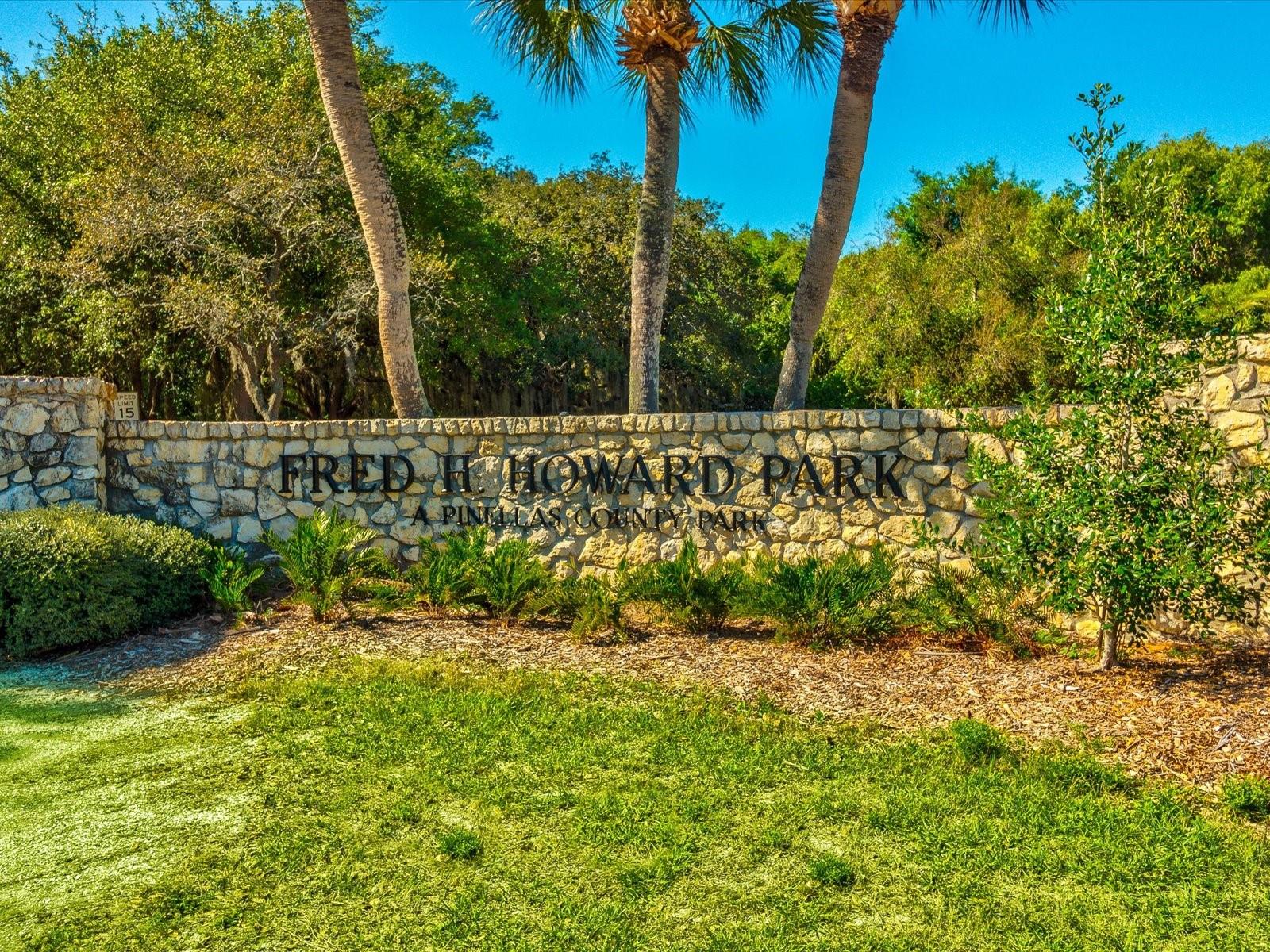 1647 SEA BREEZE DR, TARPON SPRINGS, FL — photo 53