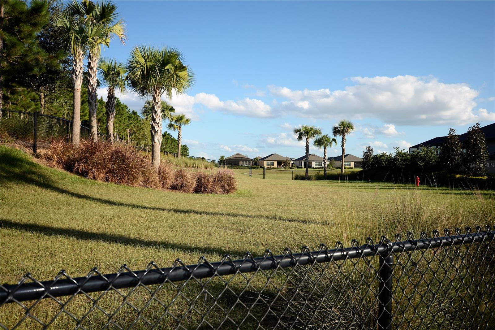 2705 STARGRASS CIR, CLERMONT, FL — photo 134