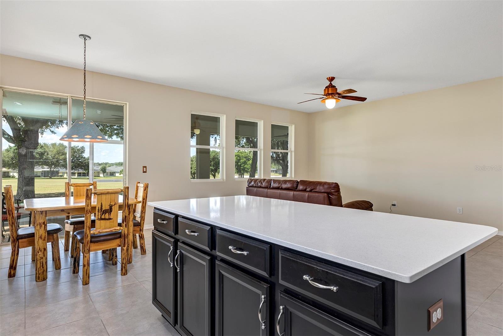 26868 WHITE PLAINS WAY, LEESBURG, FL — photo 23