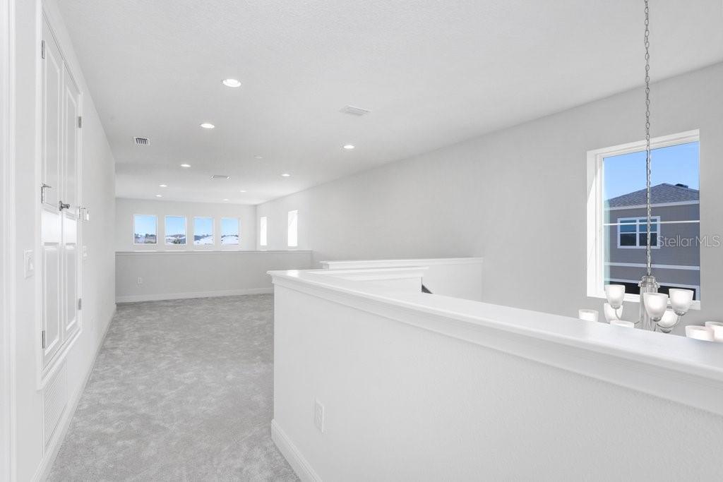 28793 SWEET PERSIMMON DR, WESLEY CHAPEL, FL — photo 18