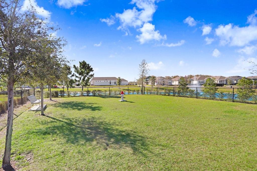 28793 SWEET PERSIMMON DR, WESLEY CHAPEL, FL — photo 36