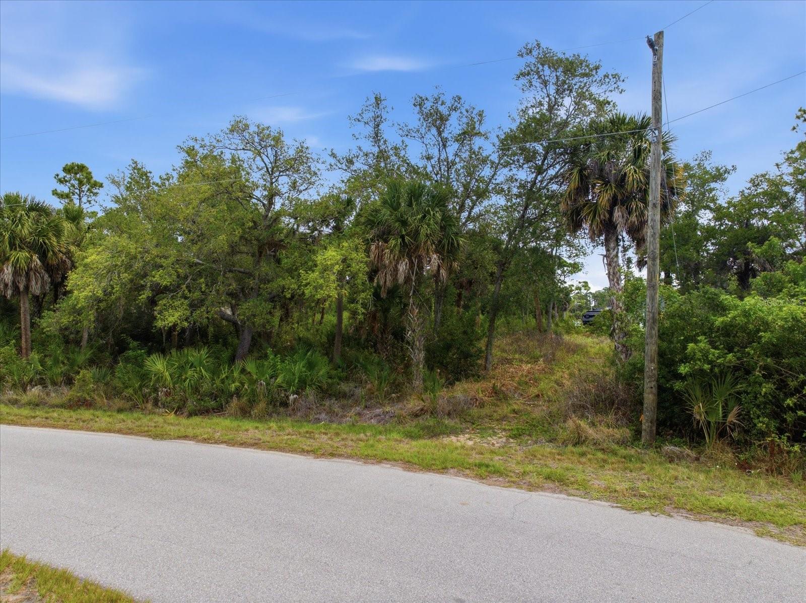554 MCDILL DR, PORT CHARLOTTE, FL — photo 5
