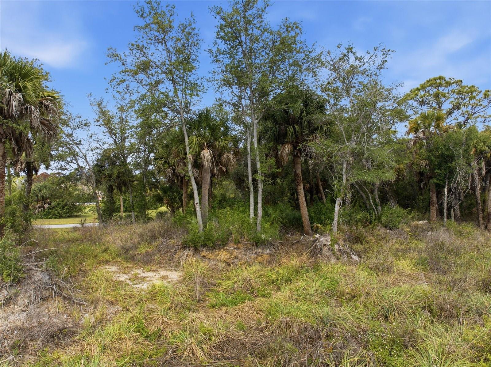 554 MCDILL DR, PORT CHARLOTTE, FL — photo 11