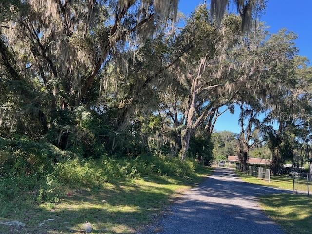 000 NW 27TH AVE, CITRA, FL — photo 3
