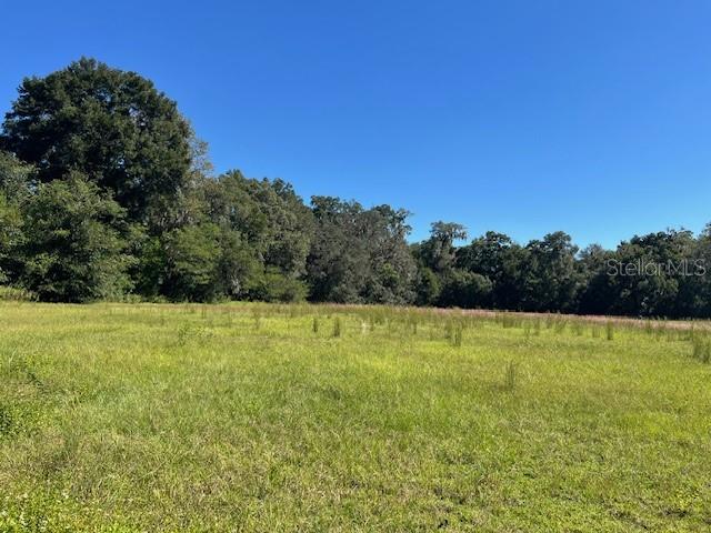 000 NW 27TH AVE, CITRA, FL — photo 9