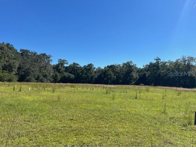 000 NW 27TH AVE, CITRA, FL — photo 10