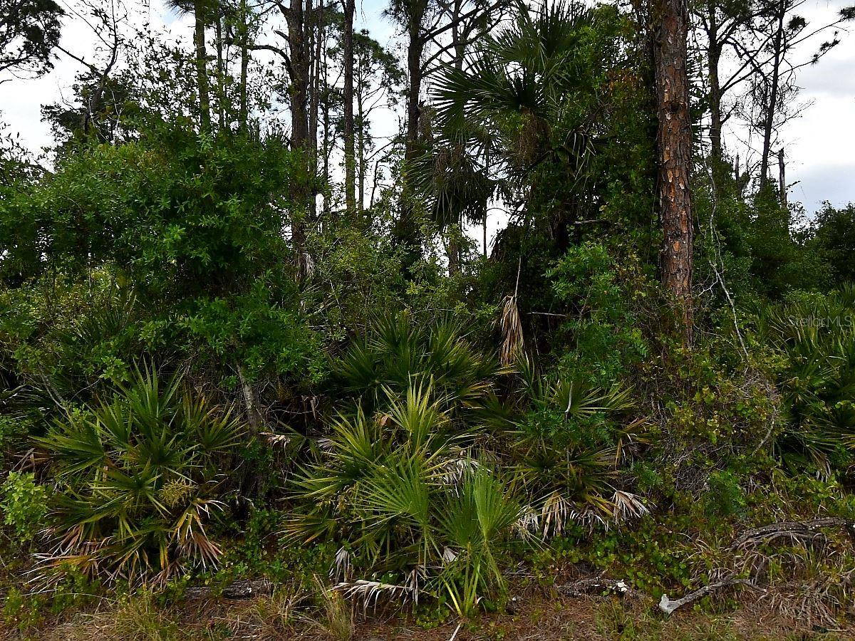 GELOSO AVE, NORTH PORT, FL