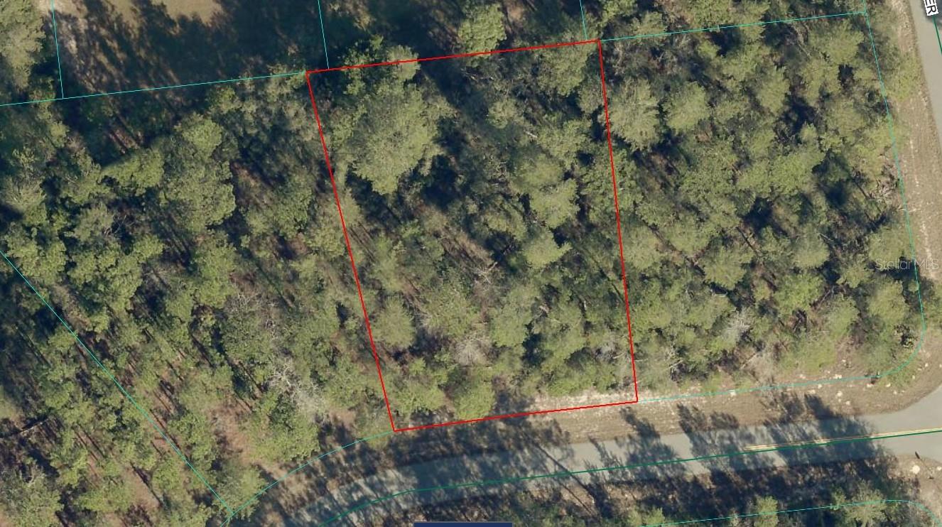 17700 SW 35TH TERRACE RD, OCALA, FL — photo 2