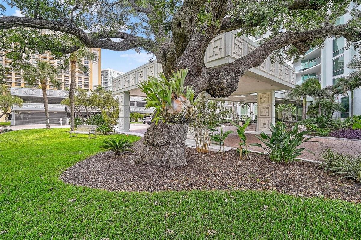 1111 N GULFSTREAM AVE #7C, SARASOTA, FL — photo 65