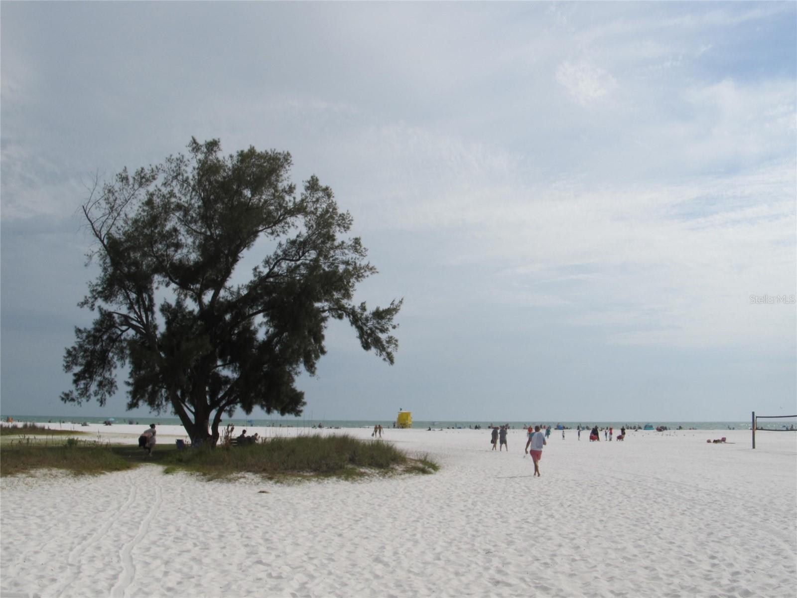 1111 N GULFSTREAM AVE #7C, SARASOTA, FL — photo 99