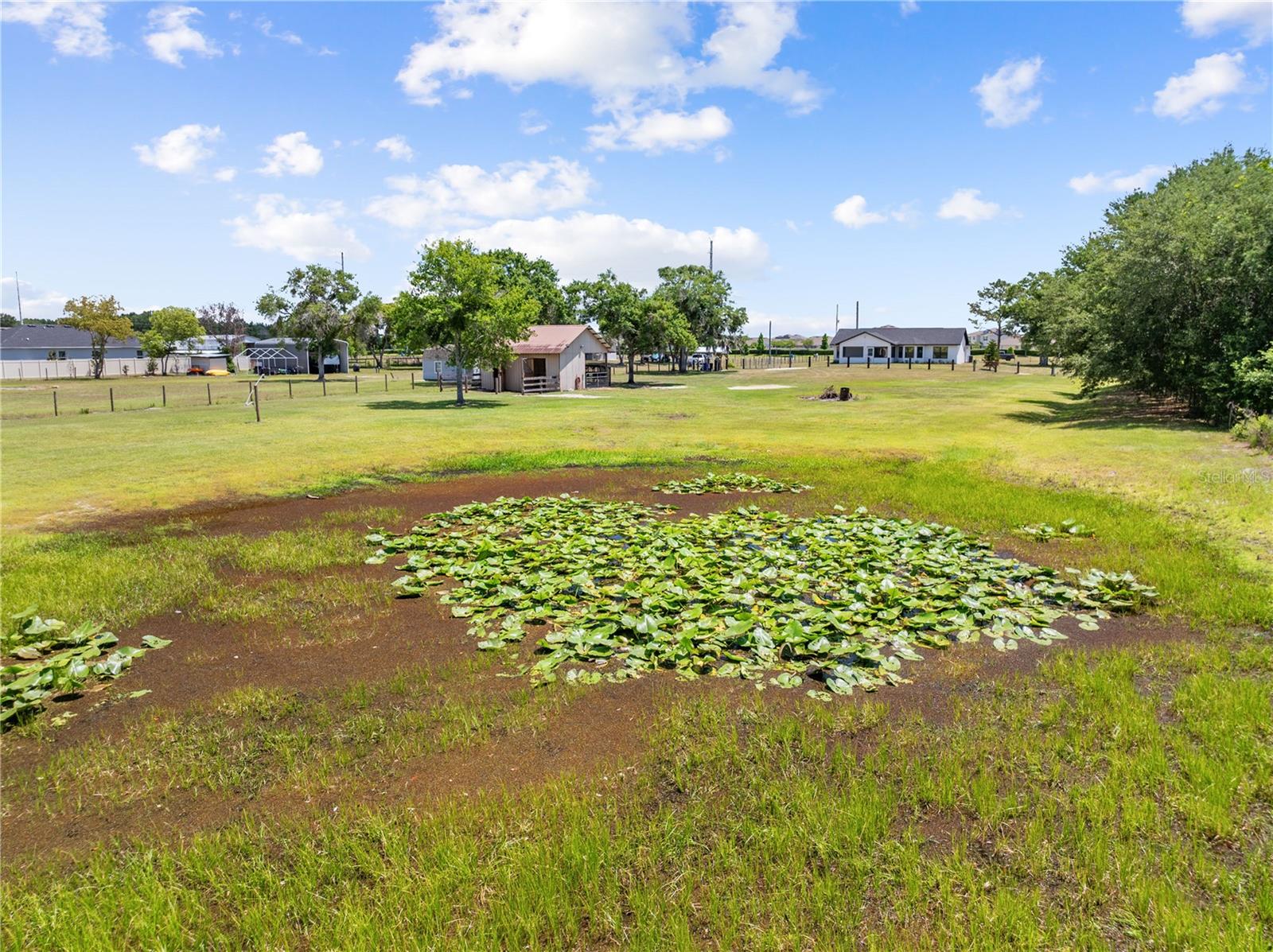 4170 HICKORY TREE RD, ST CLOUD, FL — photo 61