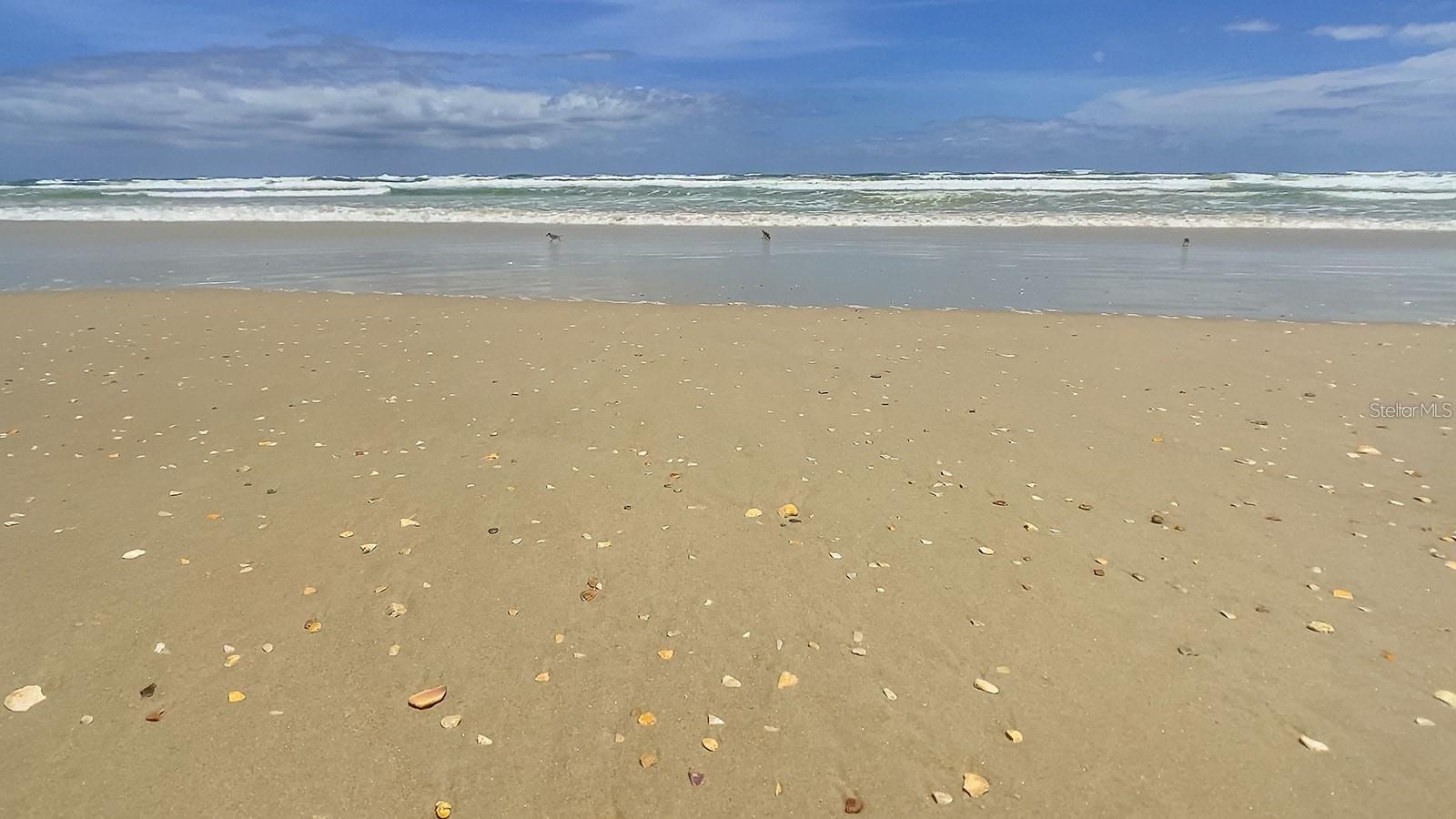 4501 S ATLANTIC AVE #415, NEW SMYRNA BEACH, FL — photo 35