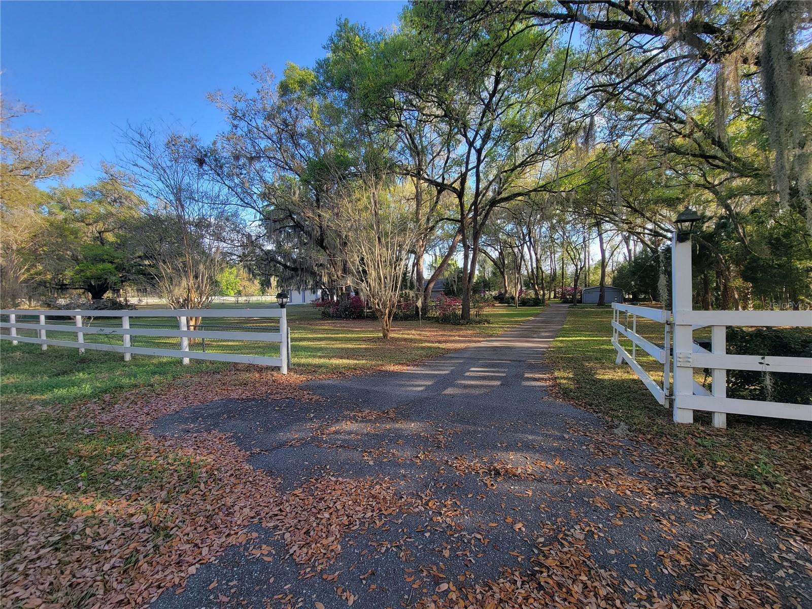 8028 SE 129TH PL, SUMMERFIELD, FL — photo 7