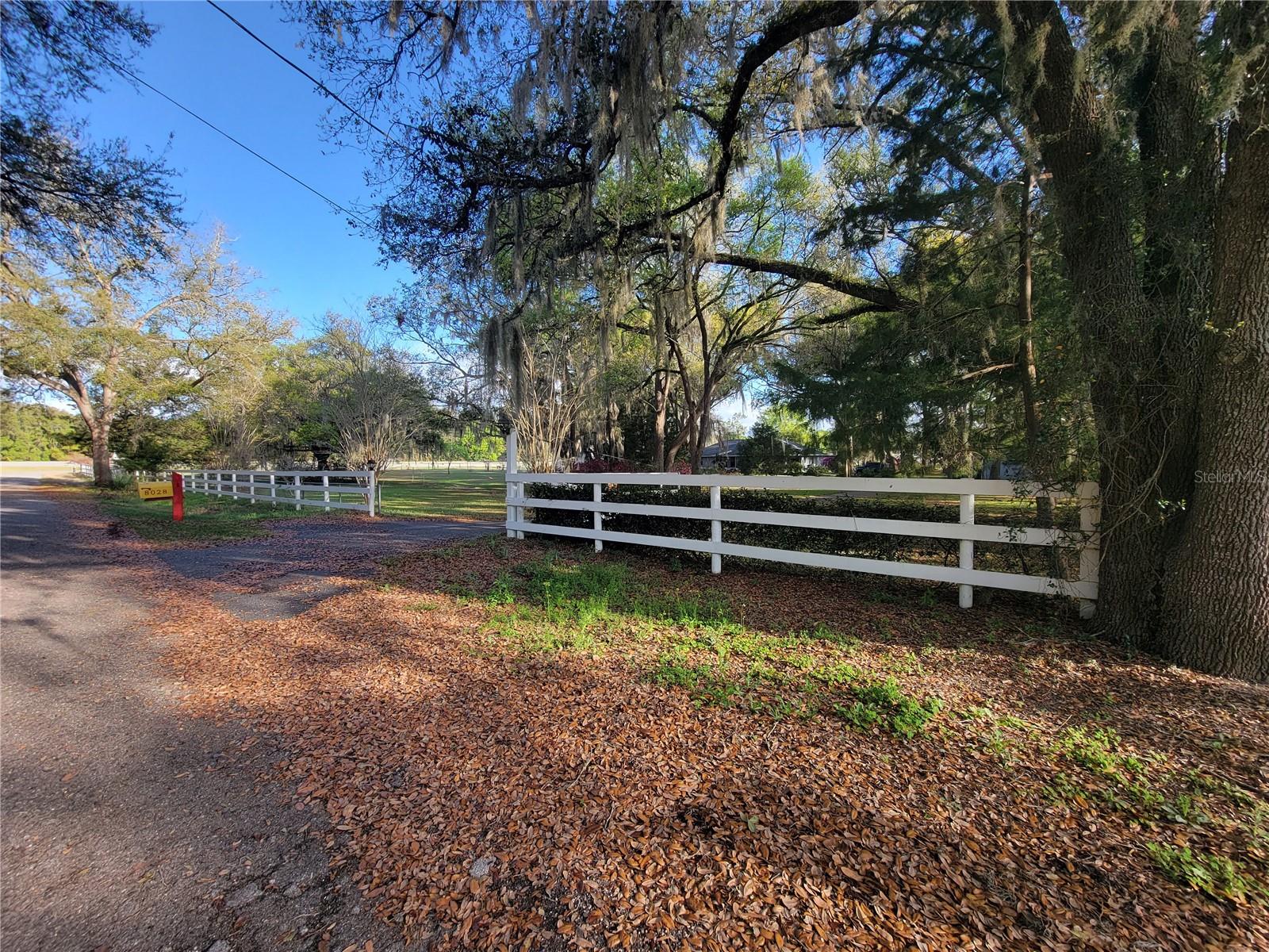 8028 SE 129TH PL, SUMMERFIELD, FL — photo 8