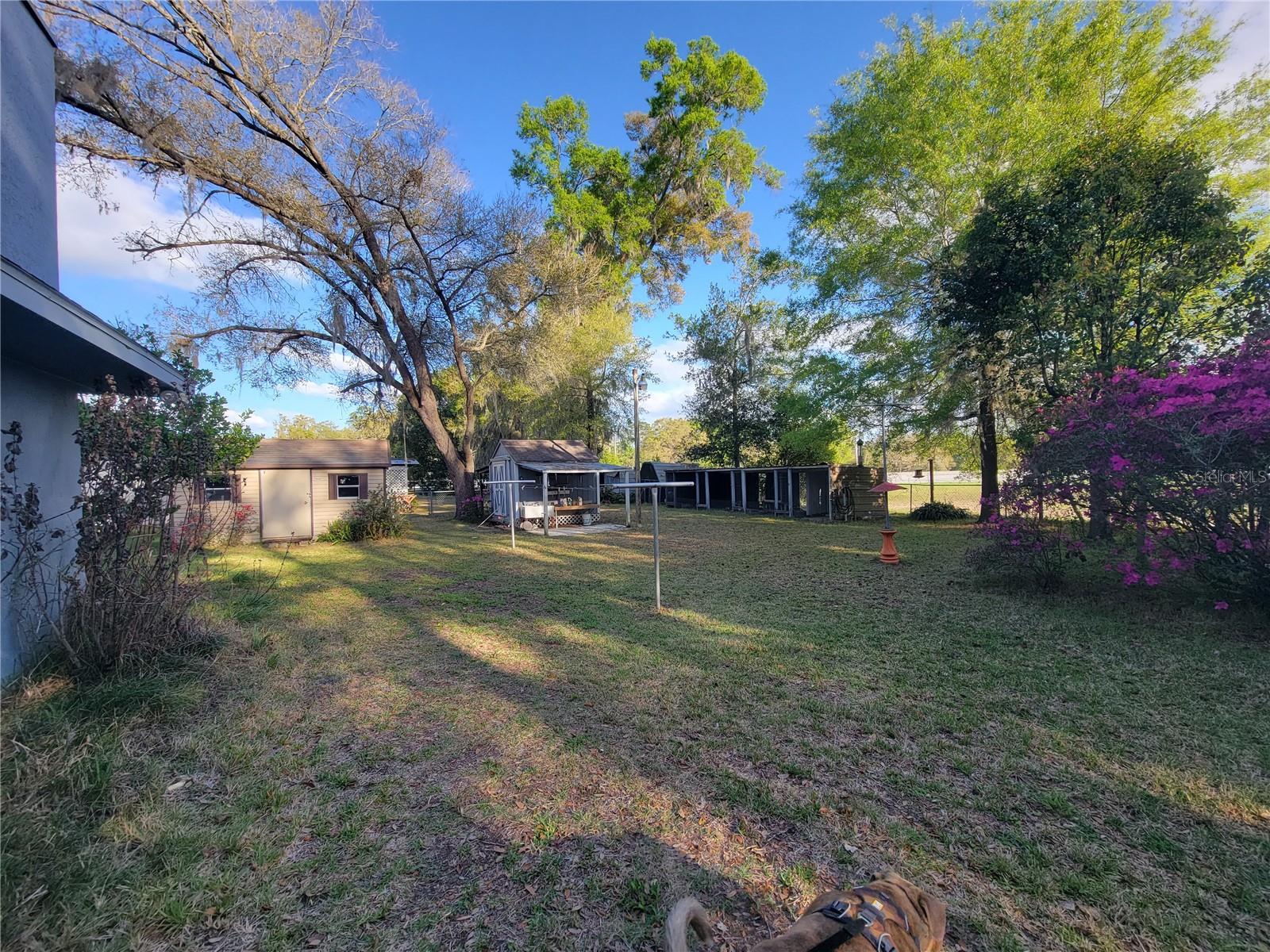 8028 SE 129TH PL, SUMMERFIELD, FL — photo 18