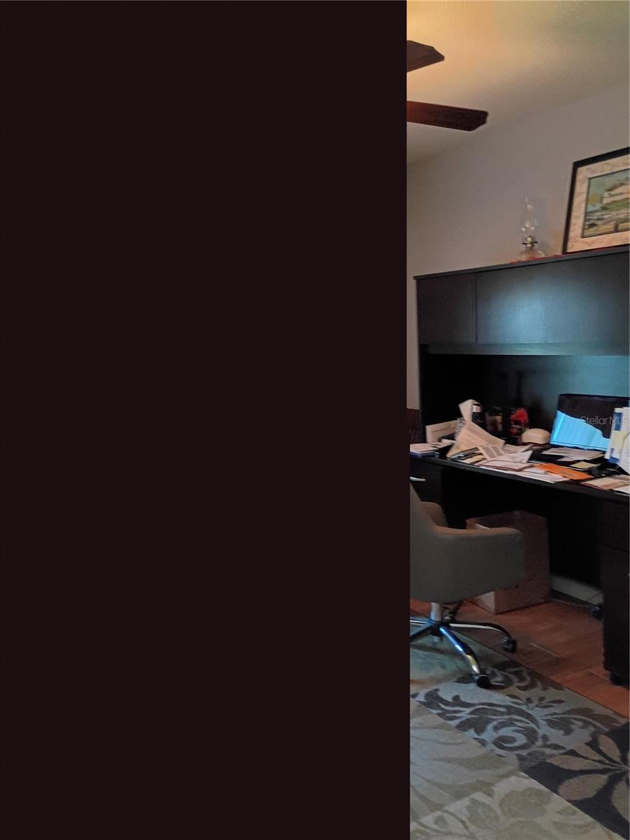 5220 BUTTERFLY SHELL DR, APOLLO BEACH, FL — photo 10