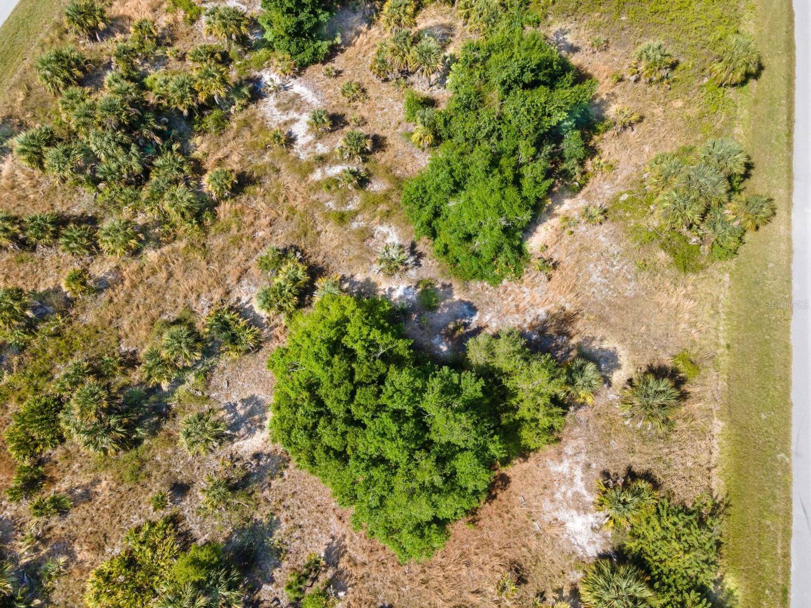 19053 SHERIFF AVE, PORT CHARLOTTE, FL — photo 10