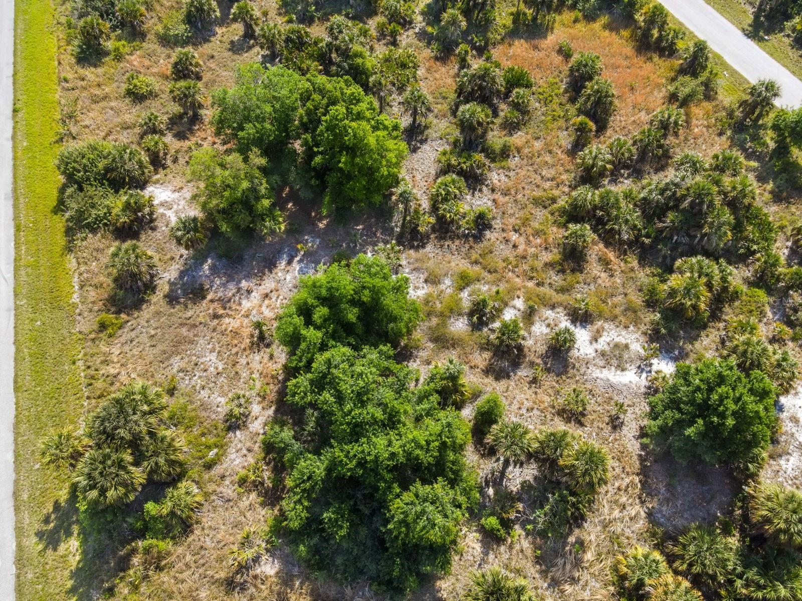 19053 SHERIFF AVE, PORT CHARLOTTE, FL — photo 13