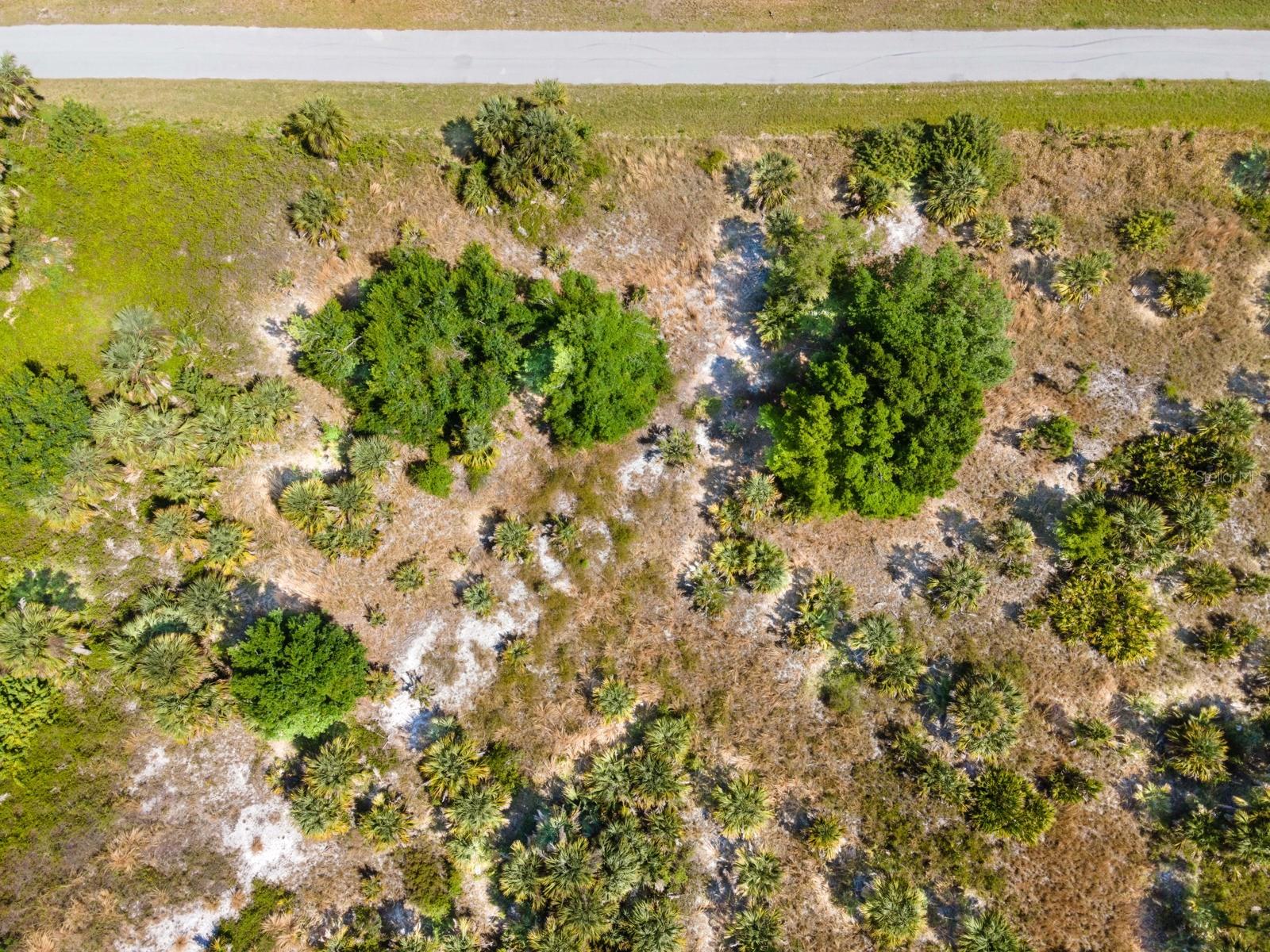 19053 SHERIFF AVE, PORT CHARLOTTE, FL — photo 15