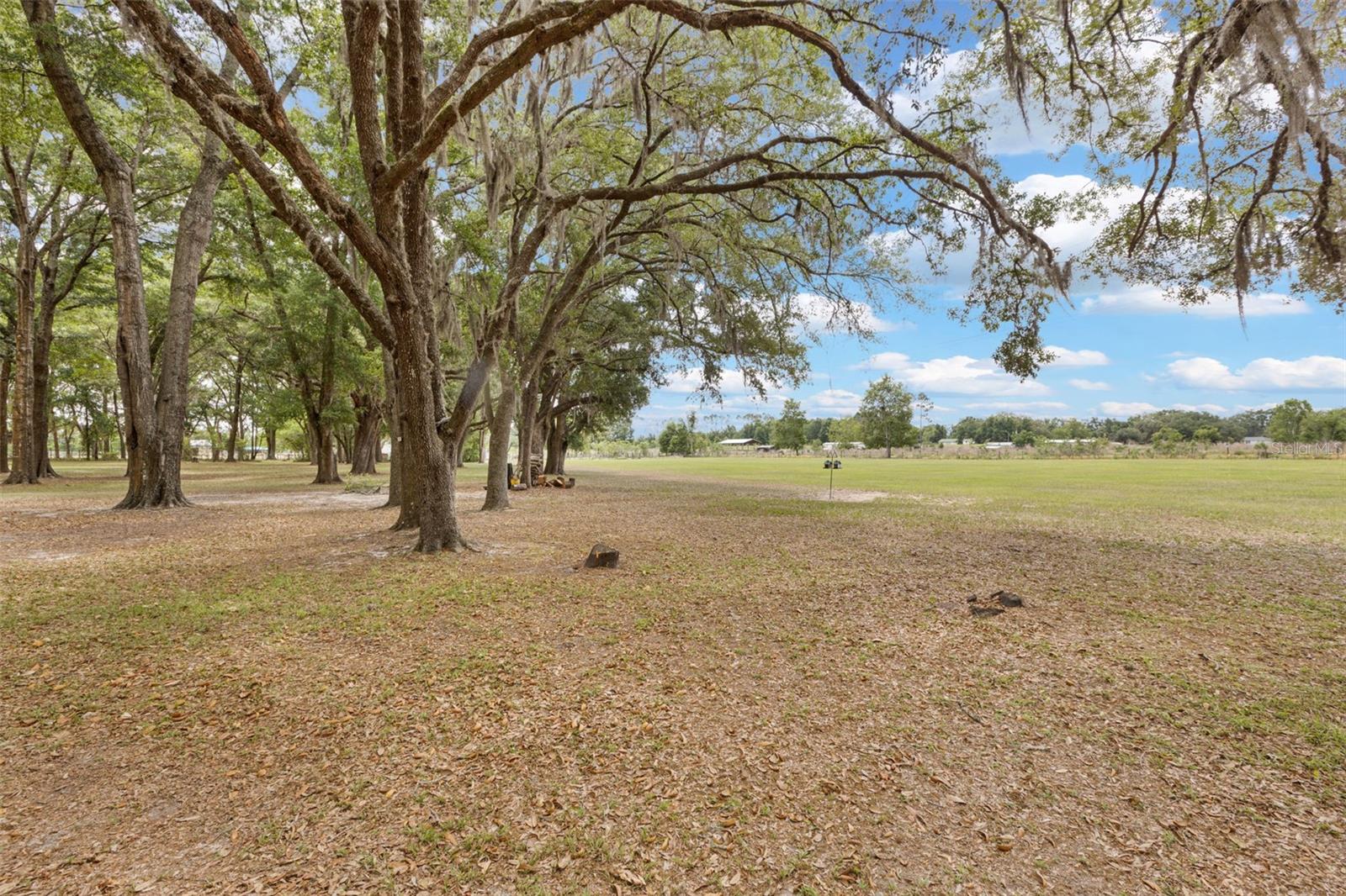 6689 SE 55TH ST, TRENTON, FL — photo 45