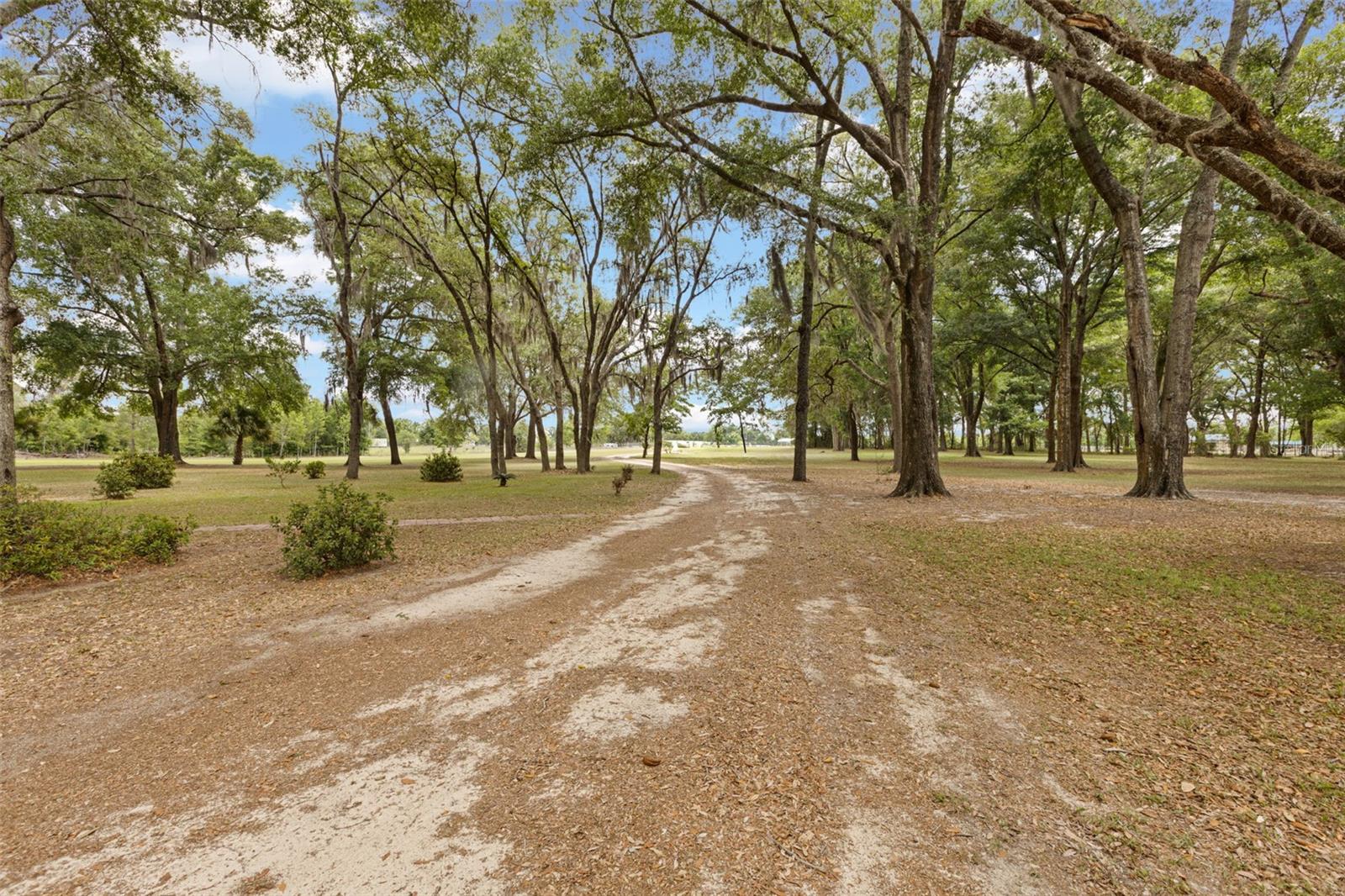 6689 SE 55TH ST, TRENTON, FL — photo 46